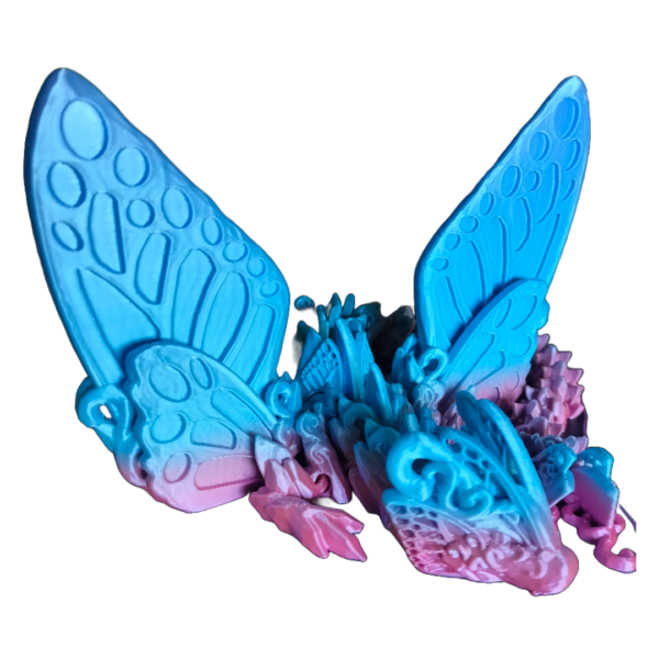 noat.com.au | Butterfly fairy dragon winged